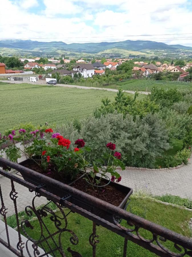 Casa Borza Hotel Alba Iulia Exterior foto