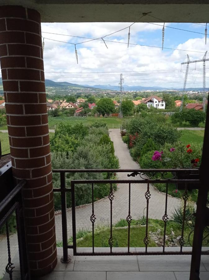 Casa Borza Hotel Alba Iulia Exterior foto