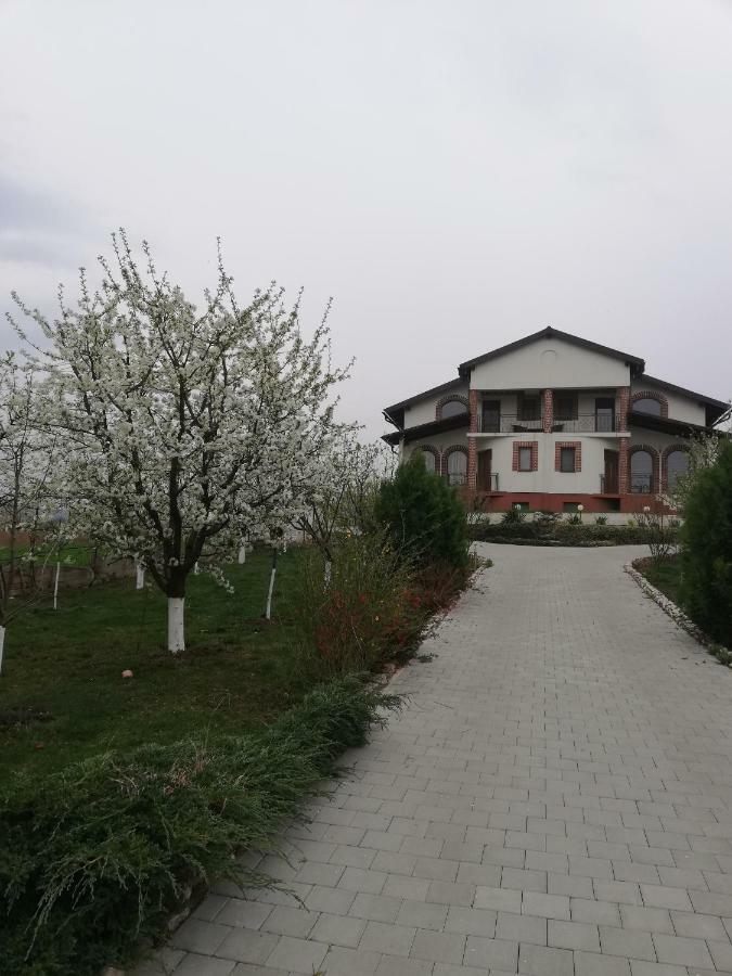 Casa Borza Hotel Alba Iulia Exterior foto