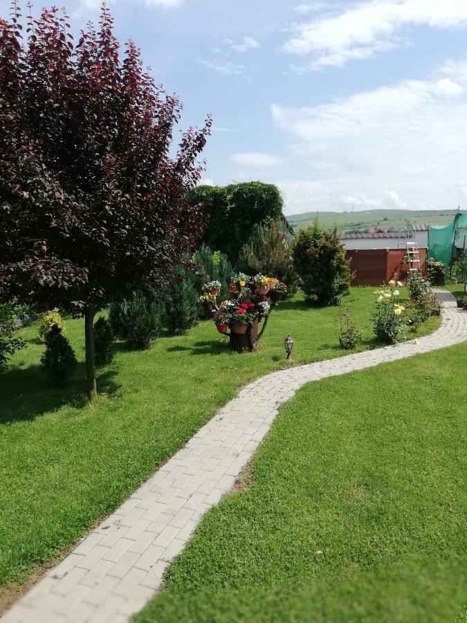 Casa Borza Hotel Alba Iulia Exterior foto