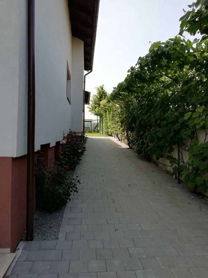 Casa Borza Hotel Alba Iulia Exterior foto
