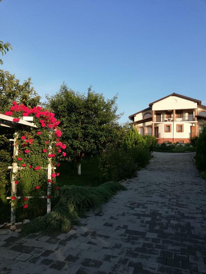 Casa Borza Hotel Alba Iulia Exterior foto